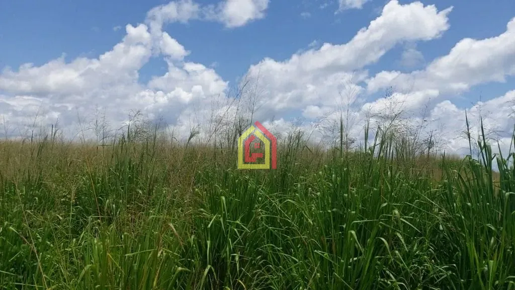 Rural à venda com 2904000m² de terreno no Zona Rural, Itupiranga (PA) — foto 16 de 24
