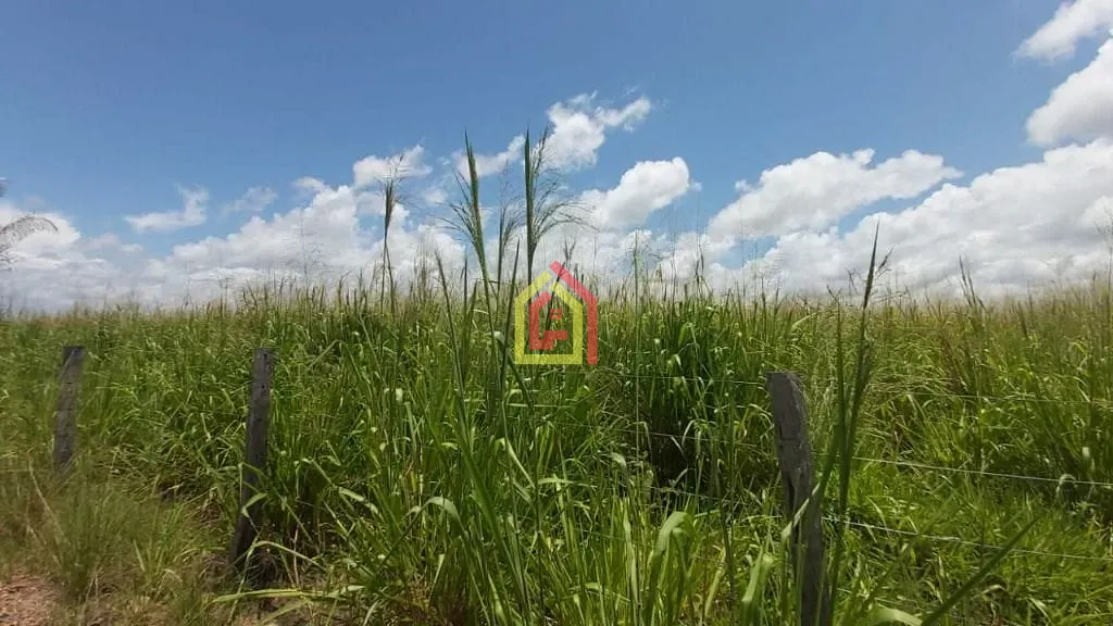 Rural à venda com 2904000m² de terreno no Zona Rural, Itupiranga (PA) — foto 20 de 24