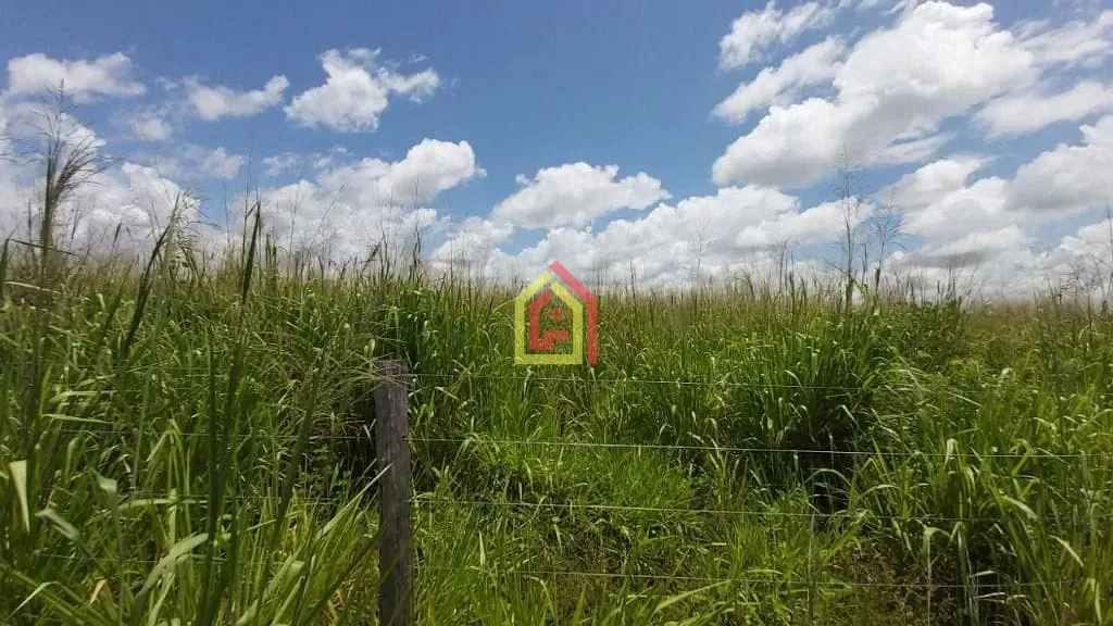 Rural à venda com 2904000m² de terreno no Zona Rural, Itupiranga (PA) — foto 24 de 24