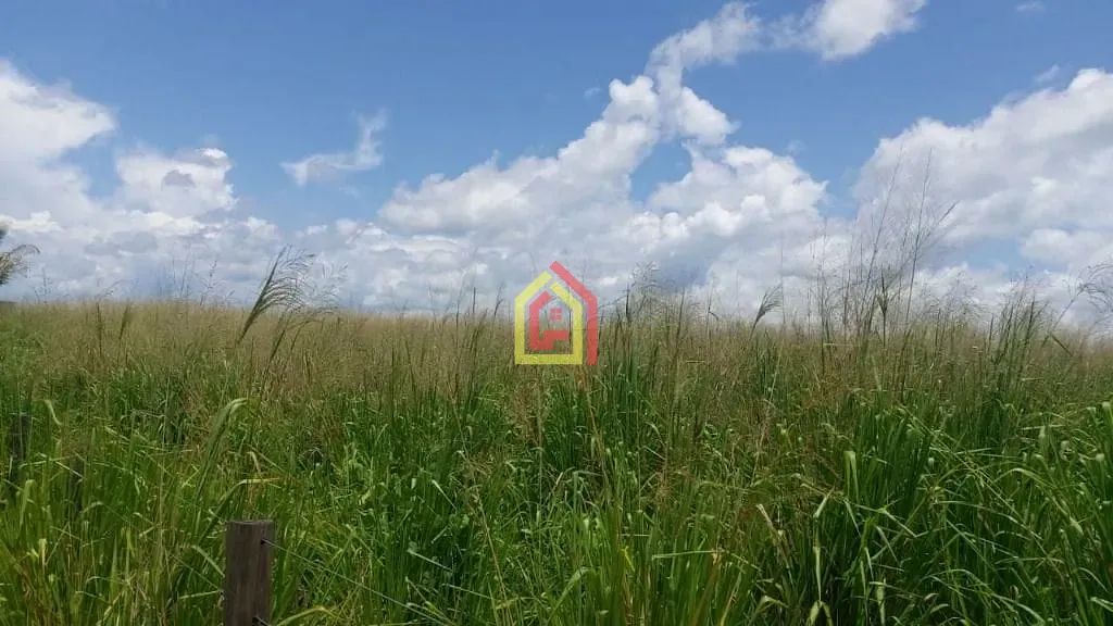 Rural à venda com 2904000m² de terreno no Zona Rural, Itupiranga (PA) — foto 15 de 24
