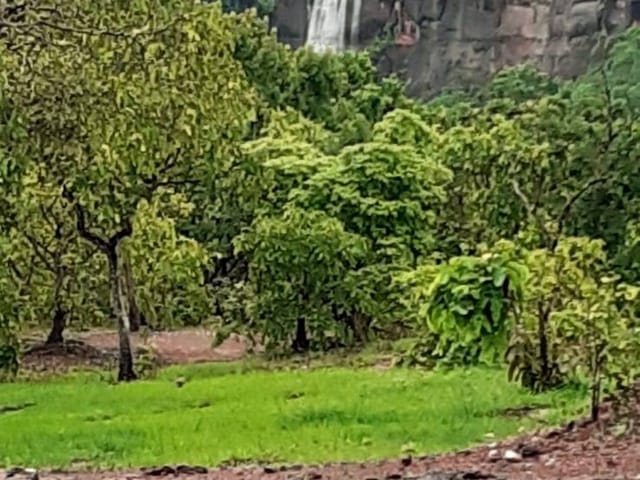 Foto do Fazenda - Fazenda de 68 alqueires, Ponte Alta do Tocantins, TO | M360 Imóveis