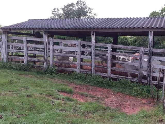 Foto do Fazenda - Fazenda de 68 alqueires, Ponte Alta do Tocantins, TO | M360 Imóveis