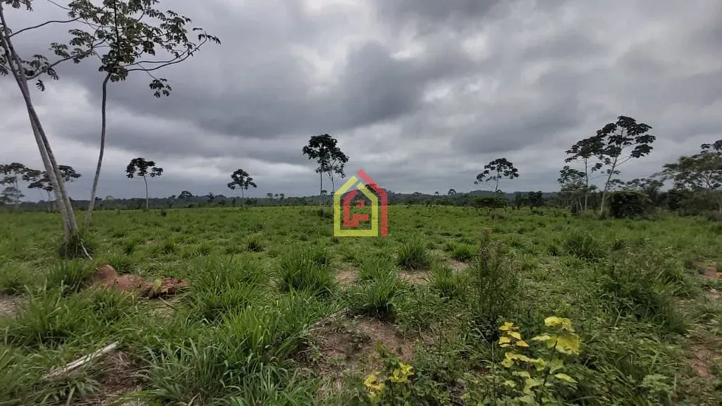 Rural à venda com 11035200m² de terreno no Zona Rural, Brejo Grande do Araguaia (PA) — foto 5 de 8