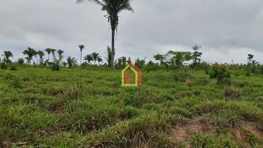 Rural à venda com 11035200m² de terreno no Zona Rural, Brejo Grande do Araguaia (PA) — foto 8 de 8