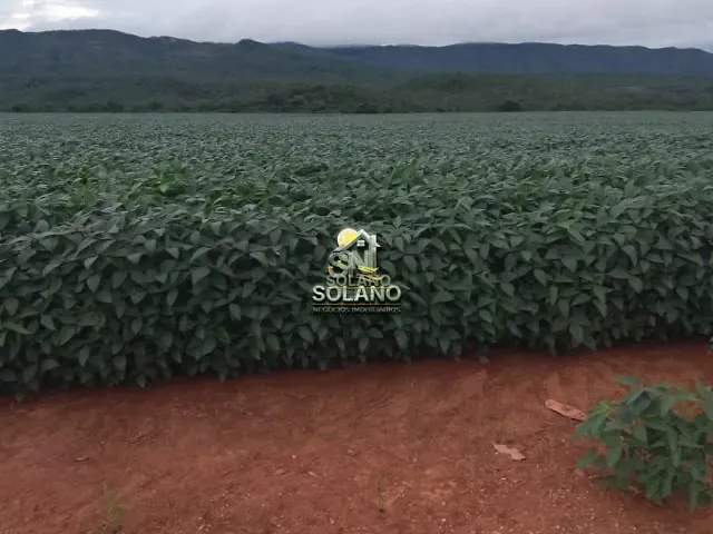 Fazenda com 392m² 3 quartos e 1 banheiro, à venda, no bairro Setor Central em Niquelândia