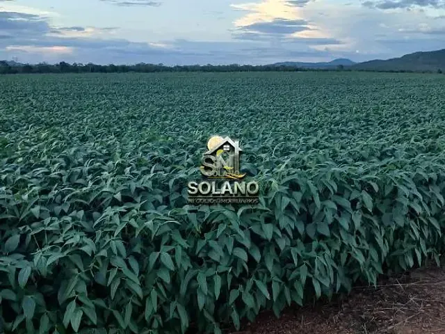 Fazenda com 392m² 3 quartos e 1 banheiro, à venda, no bairro Setor Central em Niquelândia