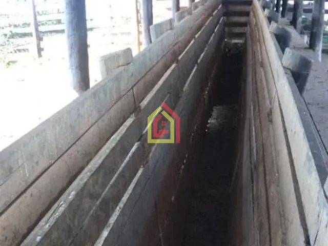 Fazenda com 8131200m², à venda, no bairro Logradouro Sem Nome, Novo Repartimento - Pa, 68473-000, Brasil -4.759492, -49.588326 em Novo Repartimento