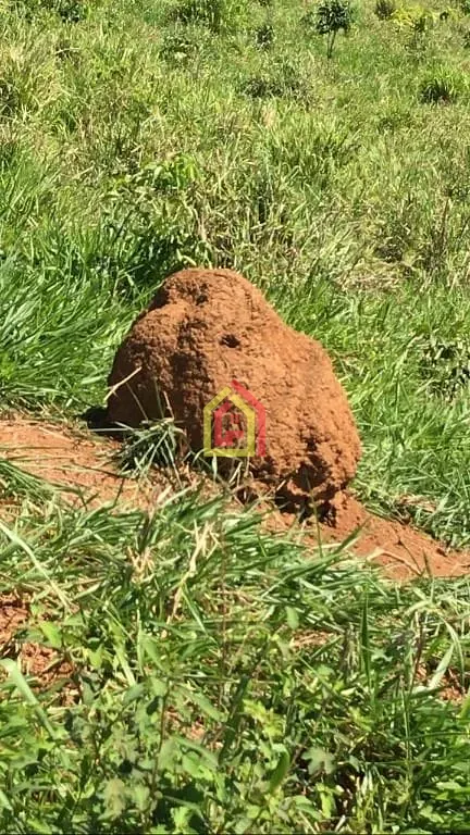 Rural à venda com 8131200m² de terreno no Logradouro Sem Nome, Novo Repartimento - Pa, 68473-000, Brasil -4.759492, -49.588326, Novo Repartimento (PA) — foto…