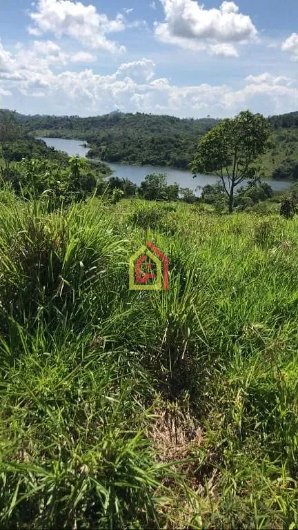 Rural à venda com 8131200m² de terreno no Logradouro Sem Nome, Novo Repartimento - Pa, 68473-000, Brasil -4.759492, -49.588326, Novo Repartimento (PA) — foto…