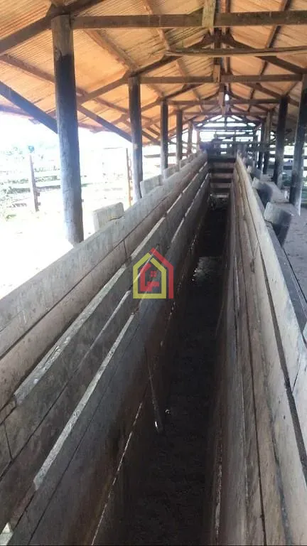 Rural à venda com 8131200m² de terreno no Logradouro Sem Nome, Novo Repartimento - Pa, 68473-000, Brasil -4.759492, -49.588326, Novo Repartimento (PA) — foto…