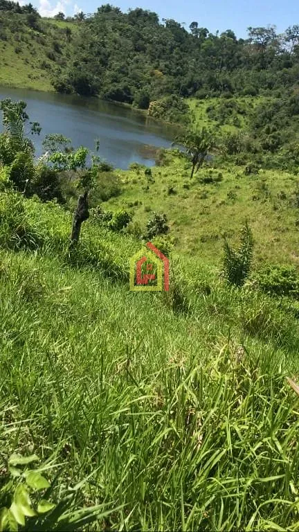 Rural à venda com 8131200m² de terreno no Logradouro Sem Nome, Novo Repartimento - Pa, 68473-000, Brasil -4.759492, -49.588326, Novo Repartimento (PA) — foto…