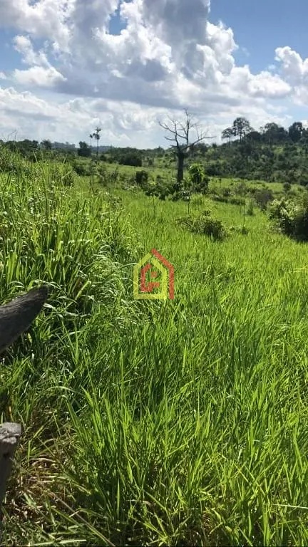Rural à venda com 8131200m² de terreno no Logradouro Sem Nome, Novo Repartimento - Pa, 68473-000, Brasil -4.759492, -49.588326, Novo Repartimento (PA) — foto…