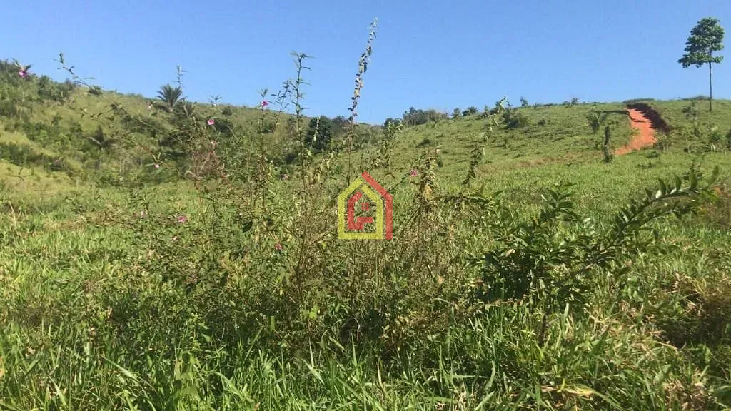 Rural à venda com 8131200m² de terreno no Logradouro Sem Nome, Novo Repartimento - Pa, 68473-000, Brasil -4.759492, -49.588326, Novo Repartimento (PA) — foto…