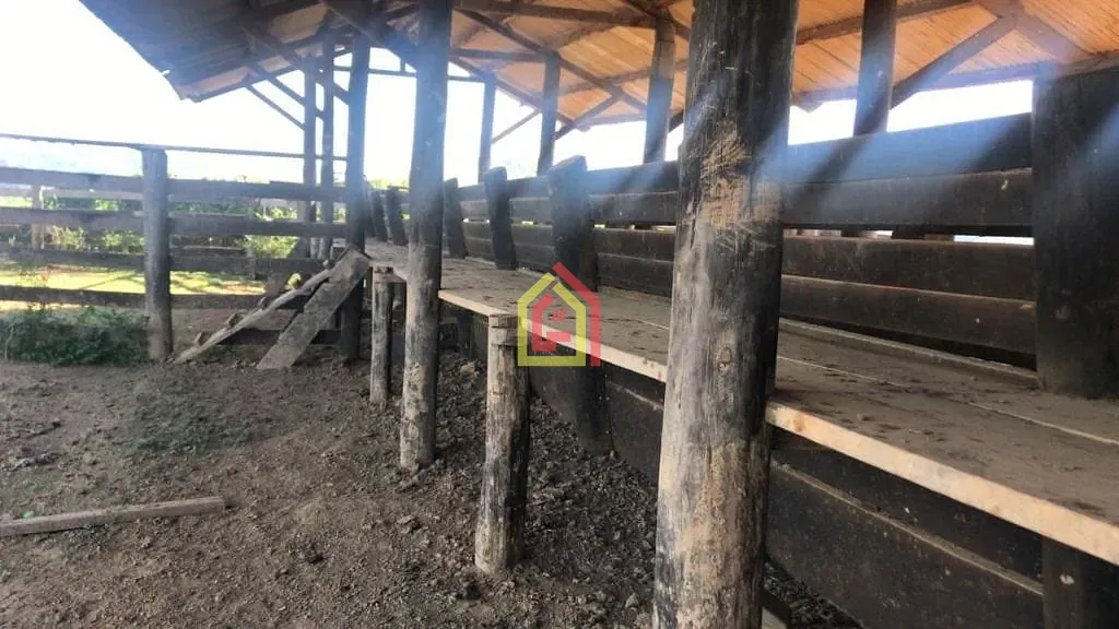Rural à venda com 8131200m² de terreno no Logradouro Sem Nome, Novo Repartimento - Pa, 68473-000, Brasil -4.759492, -49.588326, Novo Repartimento (PA) — foto…