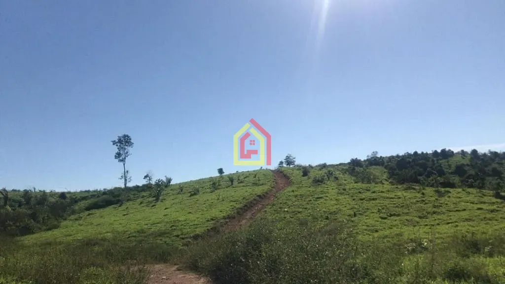 Rural à venda com 8131200m² de terreno no Logradouro Sem Nome, Novo Repartimento - Pa, 68473-000, Brasil -4.759492, -49.588326, Novo Repartimento (PA) — foto…