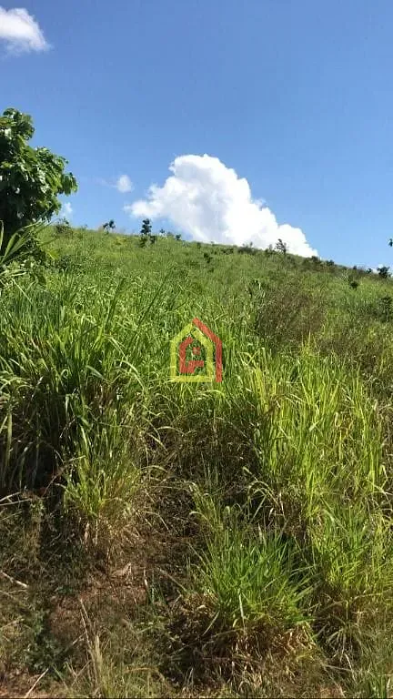 Rural à venda com 8131200m² de terreno no Logradouro Sem Nome, Novo Repartimento - Pa, 68473-000, Brasil -4.759492, -49.588326, Novo Repartimento (PA) — foto…