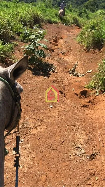 Rural à venda com 8131200m² de terreno no Logradouro Sem Nome, Novo Repartimento - Pa, 68473-000, Brasil -4.759492, -49.588326, Novo Repartimento (PA) — foto…