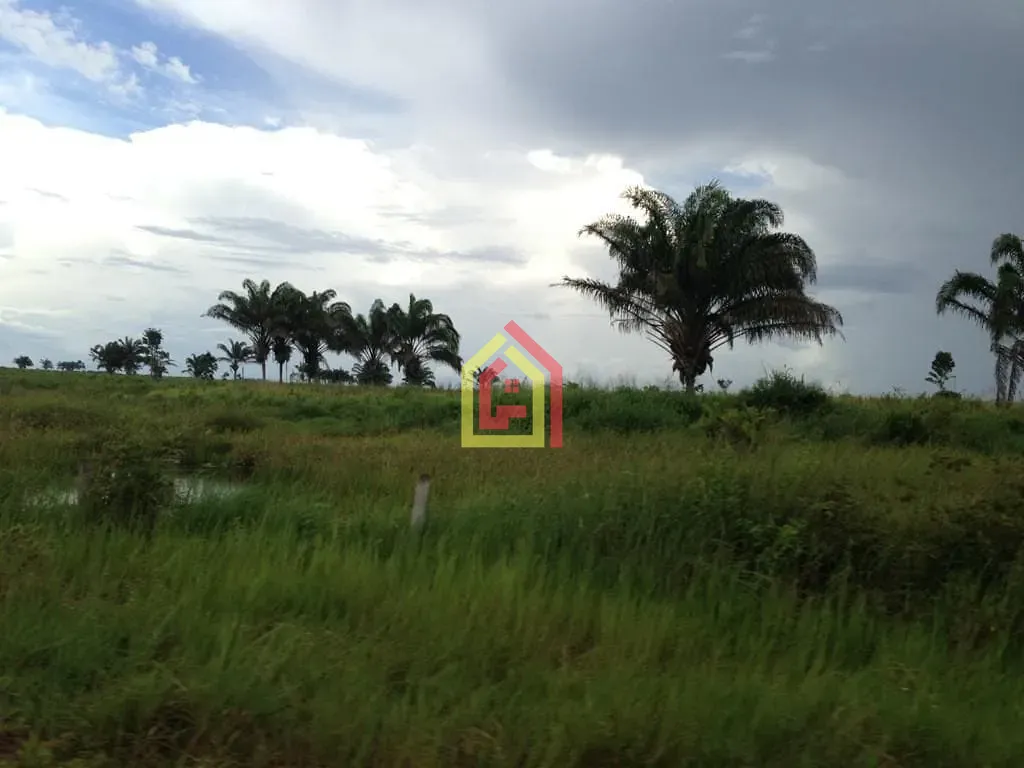 Rural à venda com 55224400m² de terreno no Zona Rural, Paragominas (PA) — foto 16 de 27