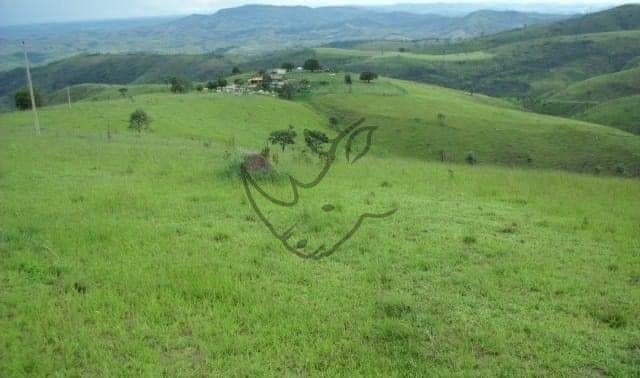 Foto do Fazenda - Fazenda à venda, Campos Altos, Campos Altos. | RINOCER