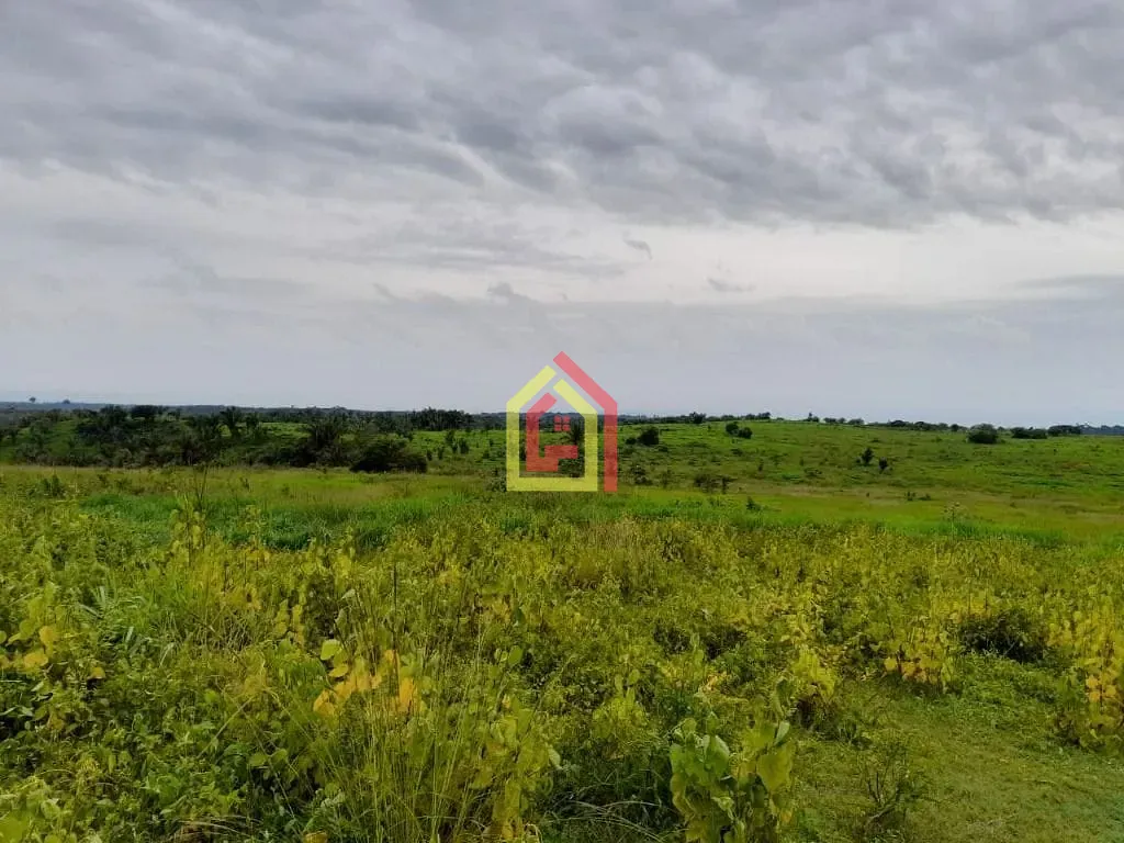 Rural à venda com 35380400m² de terreno no Rio Preto, Itupiranga (PA) — foto 4 de 30