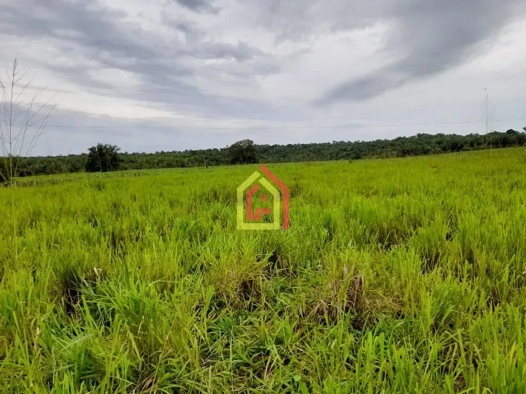 Rural à venda com 35380400m² de terreno no Rio Preto, Itupiranga (PA) — foto 12 de 30