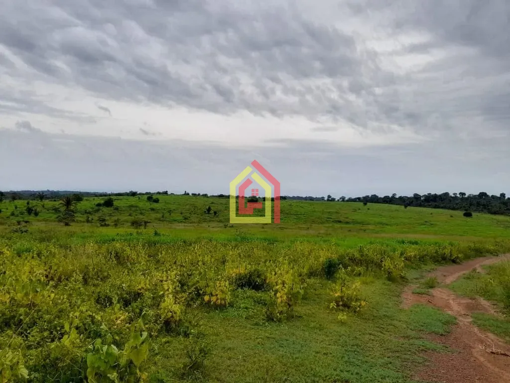 Rural à venda com 35380400m² de terreno no Rio Preto, Itupiranga (PA) — foto 5 de 30