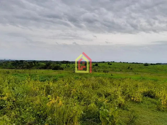 Fazenda com 35380400m², à venda, no bairro Rio Preto em Itupiranga