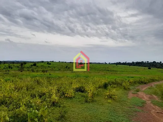 Fazenda com 35380400m², à venda, no bairro Rio Preto em Itupiranga