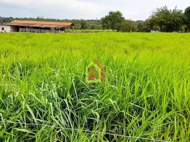 Fazenda com 35380400m², à venda, no bairro Rio Preto em Itupiranga