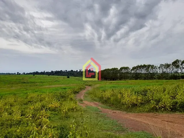 Fazenda com 35380400m², à venda, no bairro Rio Preto em Itupiranga