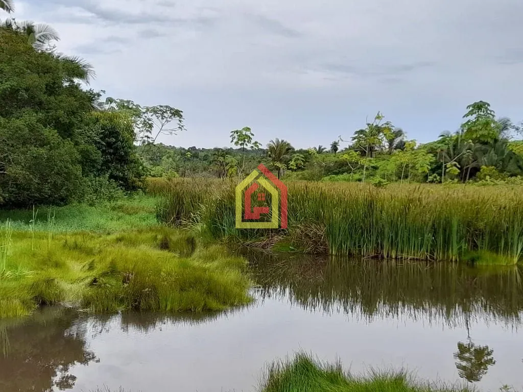 Rural à venda com 35380400m² de terreno no Rio Preto, Itupiranga (PA) — foto 10 de 30