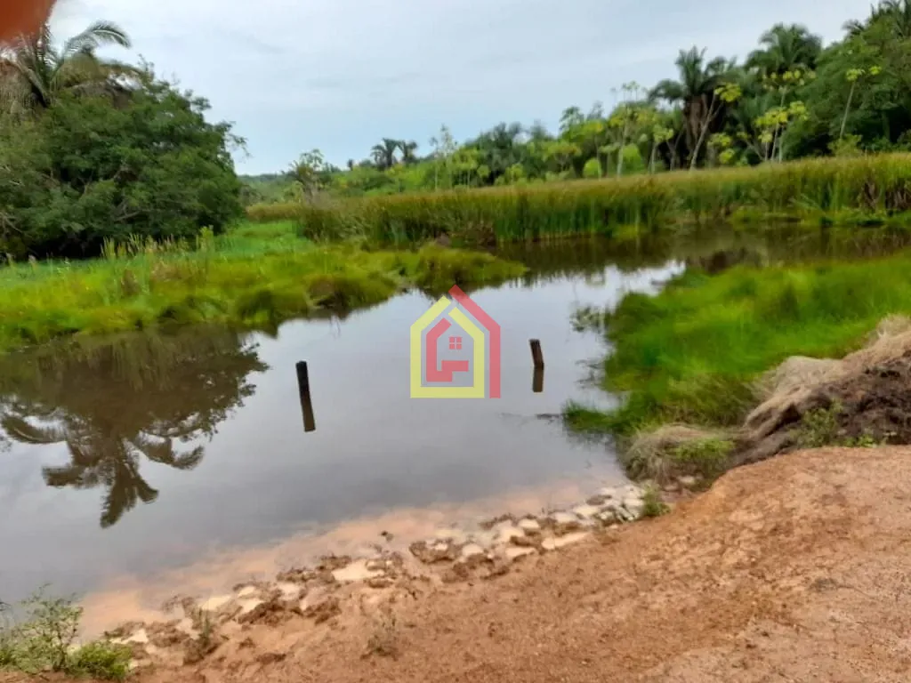 Rural à venda com 35380400m² de terreno no Rio Preto, Itupiranga (PA) — foto 6 de 30