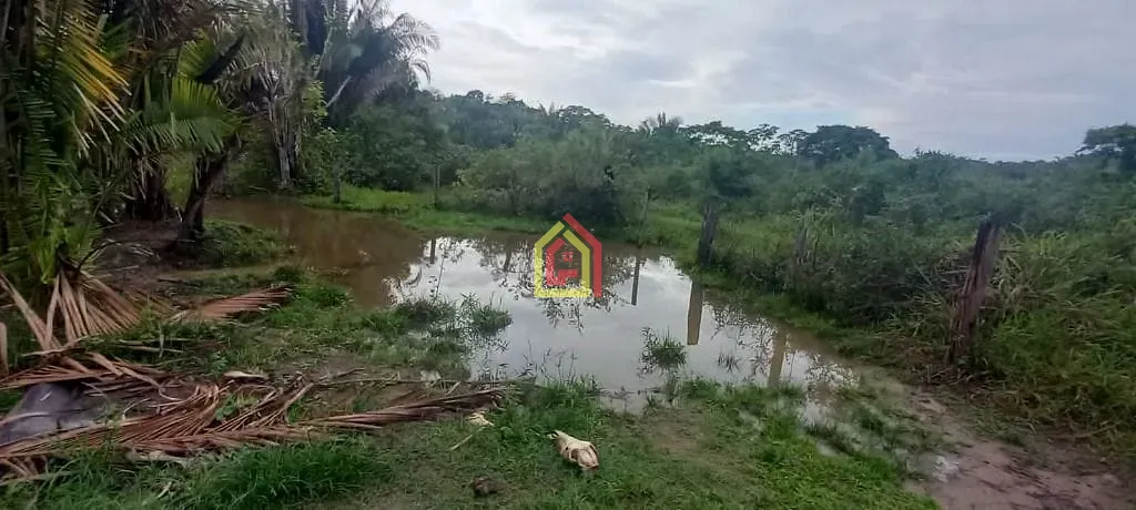 Rural à venda com 35380400m² de terreno no Rio Preto, Itupiranga (PA) — foto 30 de 30