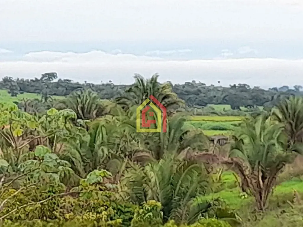 Rural à venda com 35380400m² de terreno no Rio Preto, Itupiranga (PA) — foto 17 de 30