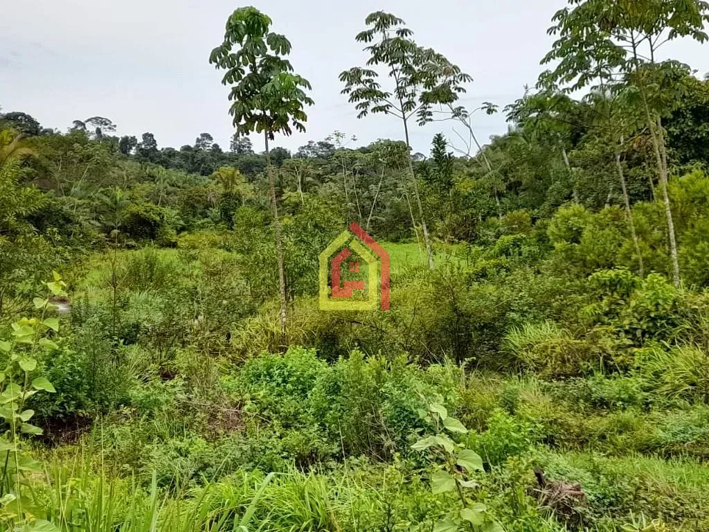 Rural à venda com 35380400m² de terreno no Rio Preto, Itupiranga (PA) — foto 19 de 30