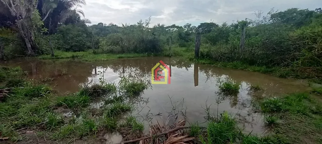 Rural à venda com 35380400m² de terreno no Rio Preto, Itupiranga (PA) — foto 28 de 30