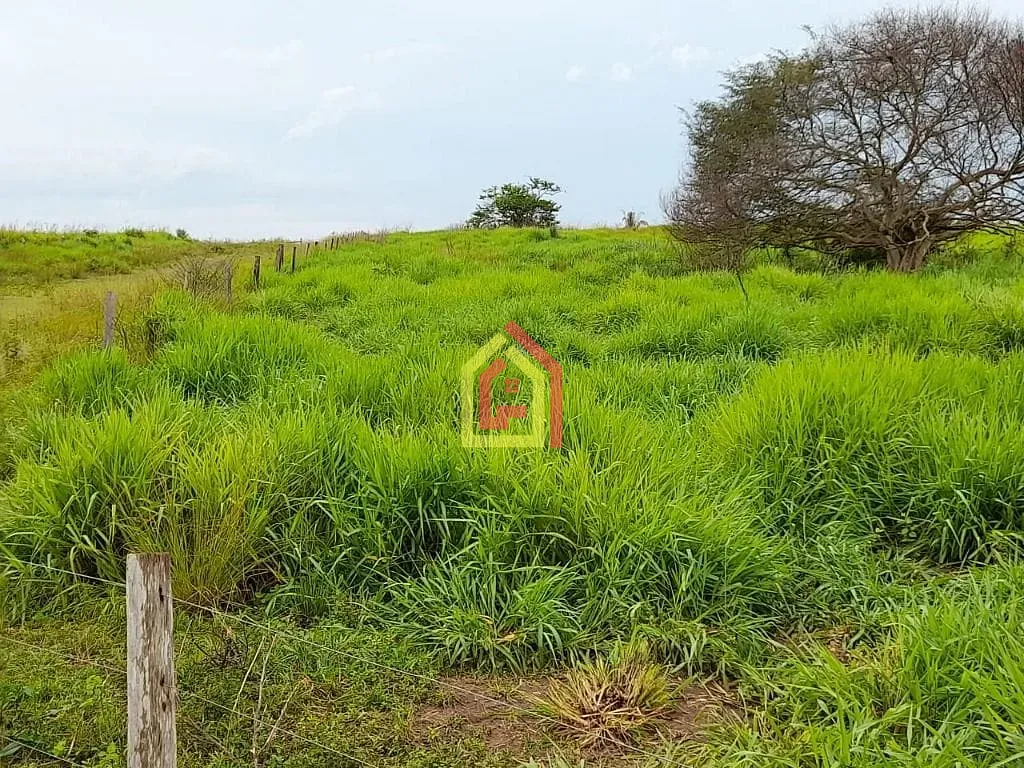 Rural à venda com 35380400m² de terreno no Rio Preto, Itupiranga (PA) — foto 15 de 30