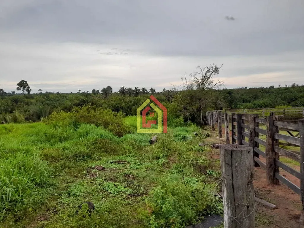 Rural à venda com 35380400m² de terreno no Rio Preto, Itupiranga (PA) — foto 8 de 30