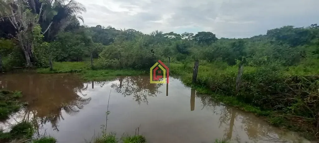 Rural à venda com 35380400m² de terreno no Rio Preto, Itupiranga (PA) — foto 29 de 30