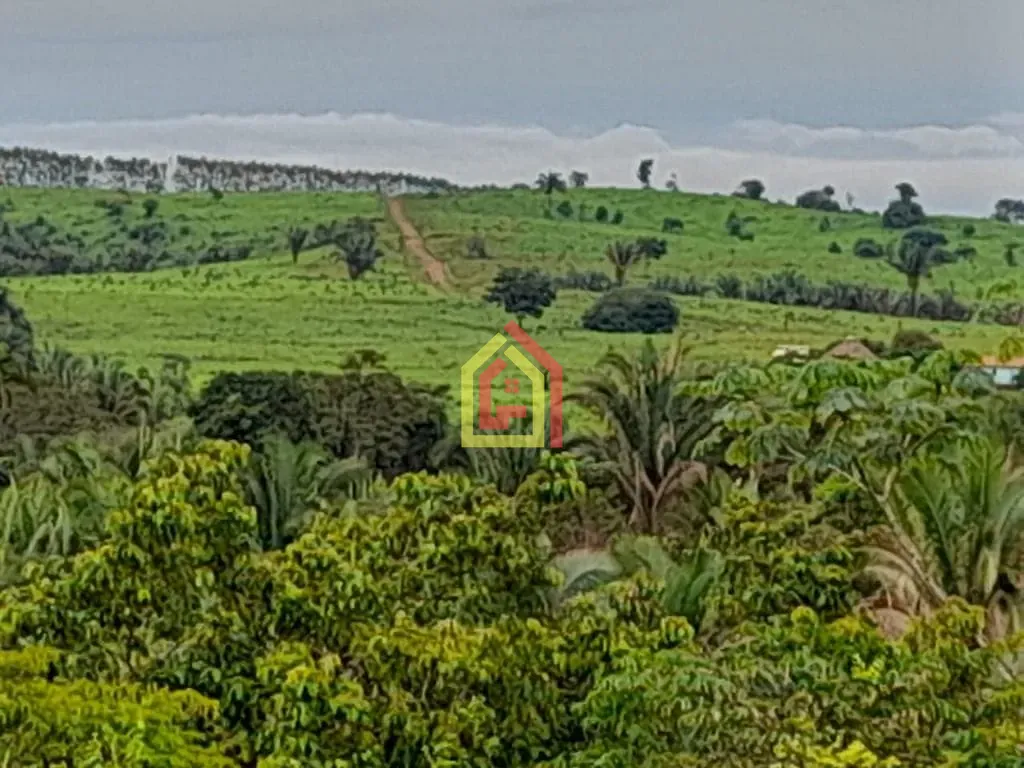Rural à venda com 35380400m² de terreno no Rio Preto, Itupiranga (PA) — foto 18 de 30