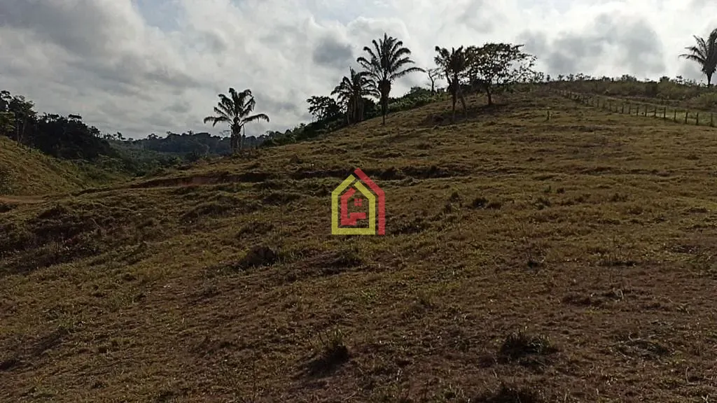 Rural à venda com 2032800m² de terreno no Br-230, Itupiranga - Pa, 68580-000, Brasil -5.024794, -49.459885, Itupiranga (PA) — foto 10 de 28