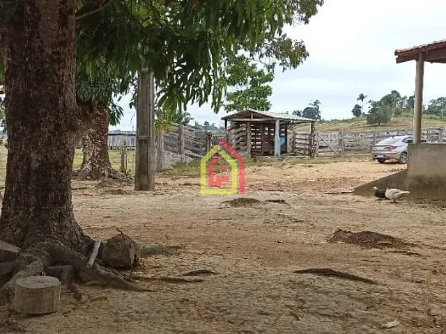 Fazenda com 2032800m² 2 quartos e 1 banheiro, à venda, no bairro Br-230, Itupiranga - Pa, 68580-000, Brasil -5.024794, -49.459885 em Itupiranga