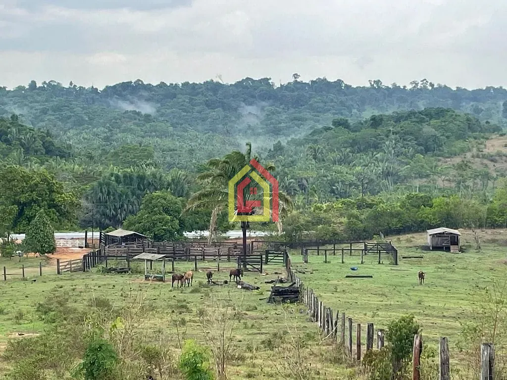 Rural à venda com 2032800m² de terreno no Br-230, Itupiranga - Pa, 68580-000, Brasil -5.024794, -49.459885, Itupiranga (PA) — foto 15 de 28