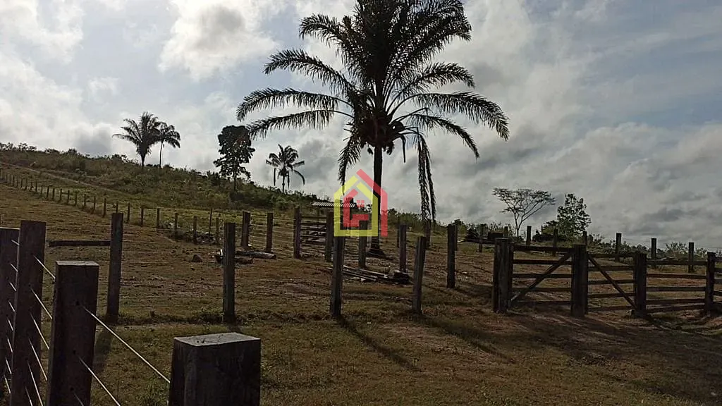 Rural à venda com 2032800m² de terreno no Br-230, Itupiranga - Pa, 68580-000, Brasil -5.024794, -49.459885, Itupiranga (PA) — foto 19 de 28