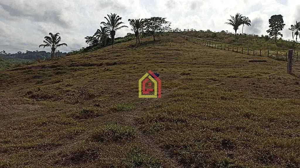 Rural à venda com 2032800m² de terreno no Br-230, Itupiranga - Pa, 68580-000, Brasil -5.024794, -49.459885, Itupiranga (PA) — foto 18 de 28