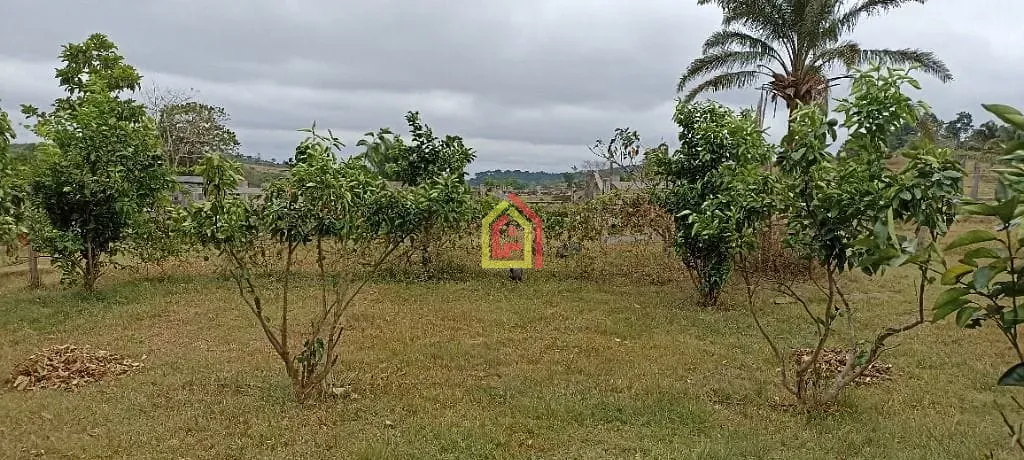 Rural à venda com 2032800m² de terreno no Br-230, Itupiranga - Pa, 68580-000, Brasil -5.024794, -49.459885, Itupiranga (PA) — foto 25 de 28