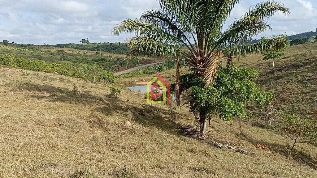 Rural à venda com 2032800m² de terreno no Br-230, Itupiranga - Pa, 68580-000, Brasil -5.024794, -49.459885, Itupiranga (PA) — foto 9 de 28