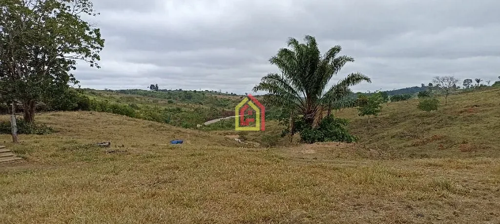 Rural à venda com 2032800m² de terreno no Br-230, Itupiranga - Pa, 68580-000, Brasil -5.024794, -49.459885, Itupiranga (PA) — foto 20 de 28