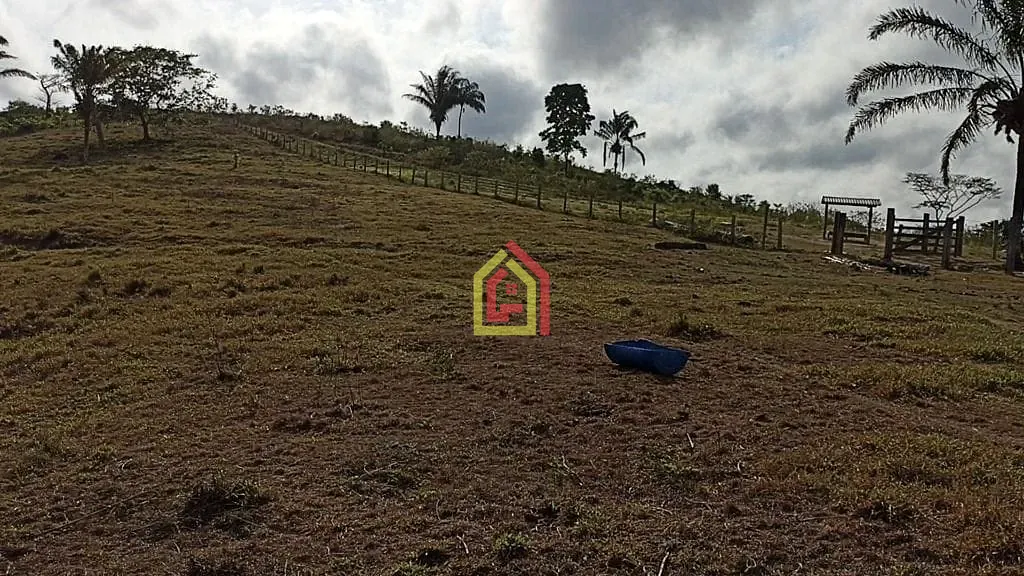 Rural à venda com 2032800m² de terreno no Br-230, Itupiranga - Pa, 68580-000, Brasil -5.024794, -49.459885, Itupiranga (PA) — foto 11 de 28