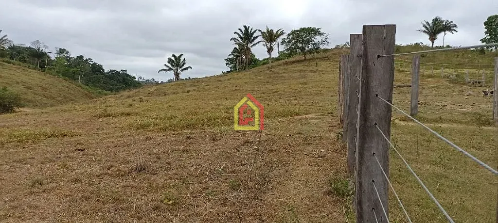 Rural à venda com 2032800m² de terreno no Br-230, Itupiranga - Pa, 68580-000, Brasil -5.024794, -49.459885, Itupiranga (PA) — foto 23 de 28